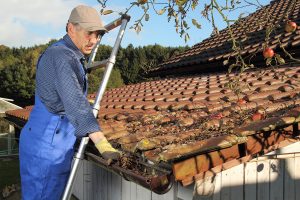 Gutter and Your PHX Roof