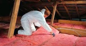 How to Insulate Your Avondale Roof and Attic Like a Pro