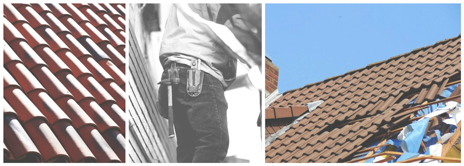 The Expert Roofer’s Guide to Phoenix Commercial Roof Maintenance Programs