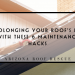 Prolonging Your Roof’s Life with These 6 Maintenance Hacks
