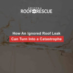 How An Ignored Roof Leak Can Turn Into a Catastrophe
