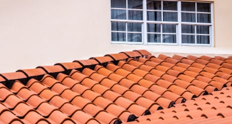 Shingle Roofing Contractors